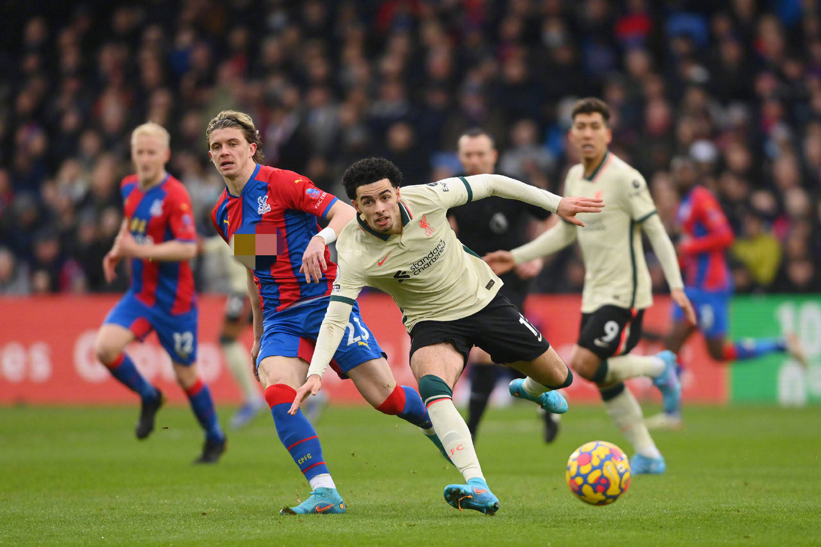 相聘用的名 相聘用的名