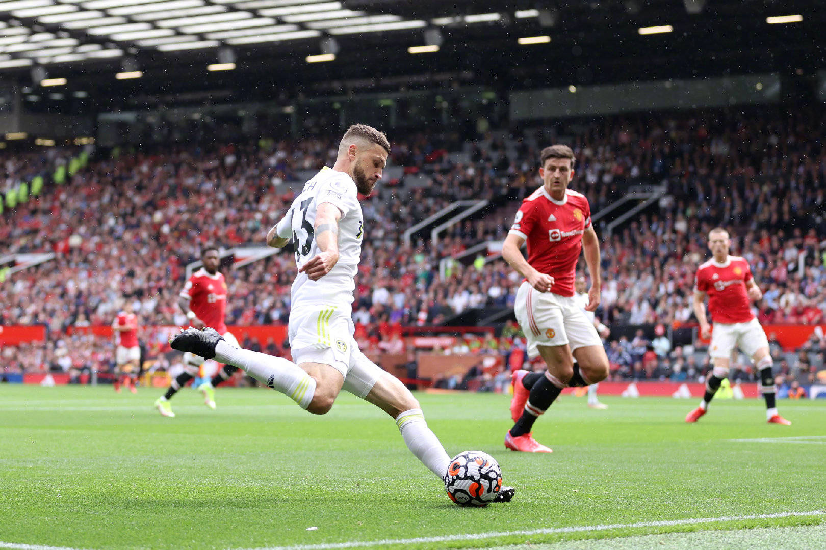 皇家社会的 皇家社会的